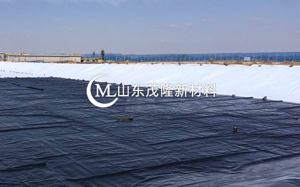 《衡水主城區(qū)生態(tài)修復(fù)工程》土工布、復(fù)合土工布施工