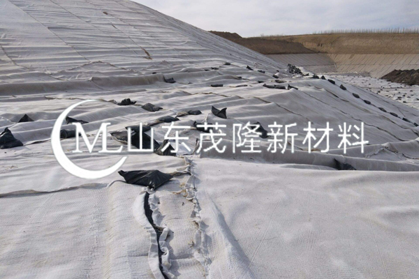 《煤炭分質(zhì)清潔高效轉(zhuǎn)化示范項(xiàng)目固廢處理廠項(xiàng)目》三維復(fù)合排水網(wǎng)施工
